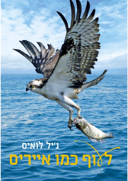 כריכת הספר לעוף כמו אייריס מאת ג'יל לואיס